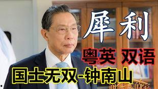 说粤语爆料新闻犯法吗,法律边界与言论自由的探讨